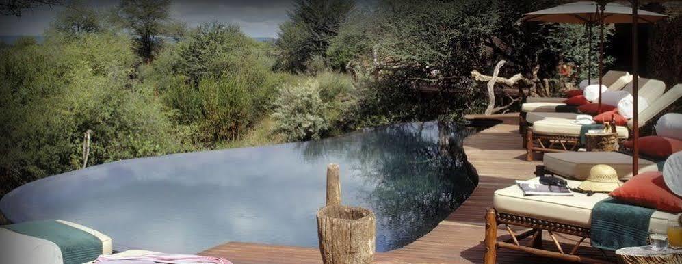 Sanctuary Makanyane Safari Lodge マディクウェ野生保護区 エクステリア 写真