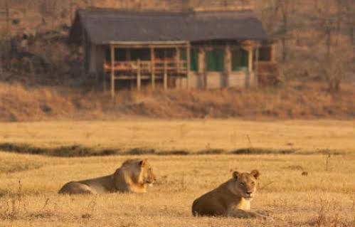 Sanctuary Makanyane Safari Lodge マディクウェ野生保護区 エクステリア 写真