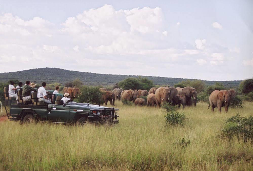 Sanctuary Makanyane Safari Lodge マディクウェ野生保護区 エクステリア 写真